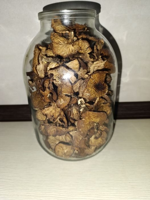 Продам сушені гриби