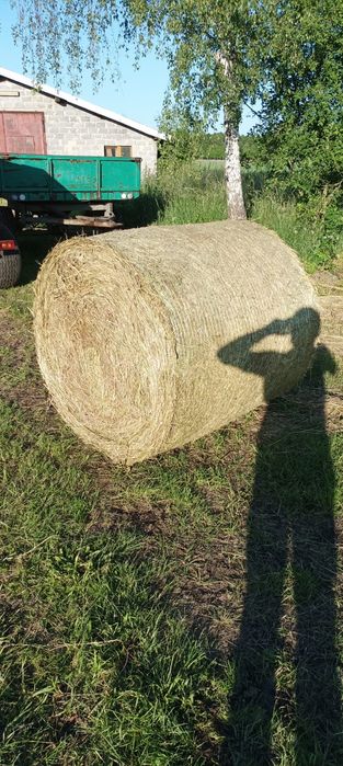 Siano 2025 konie bydło kozy owce alpaka króliki