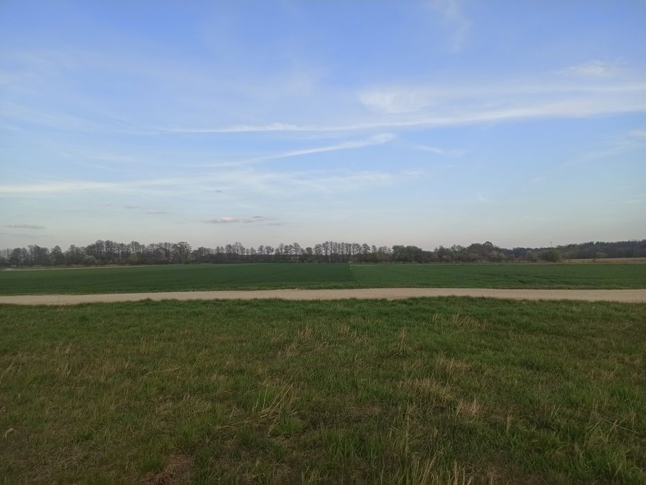 Działka budowlana - Widok 5