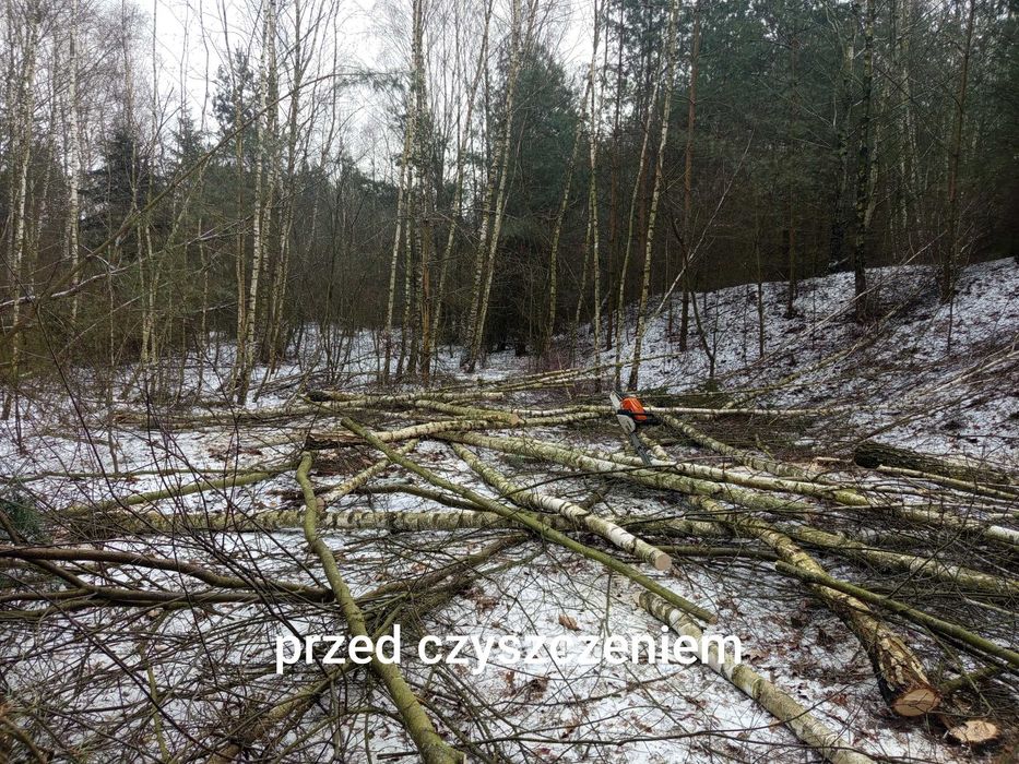 Wycinka drzew  czyszczenie działek wywóz gałęzi usuwanie karp