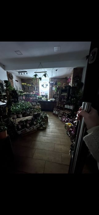 Zdjęcie 3