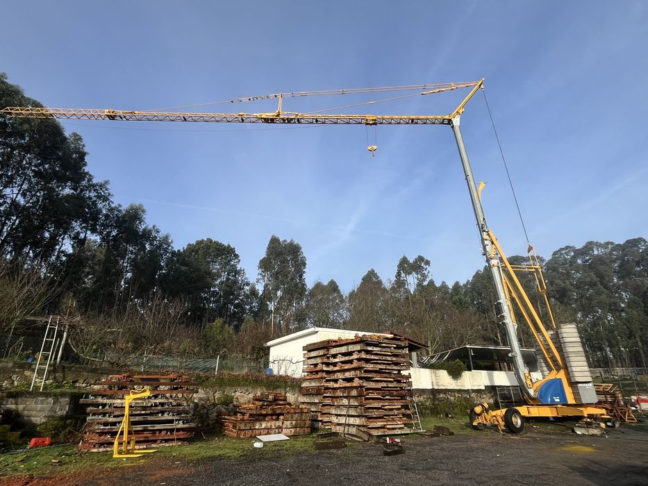 Grua automontante potain igo 50