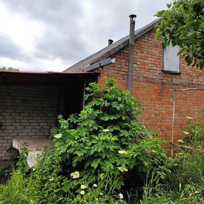 Будинок 40 м² + 39 соток, 30 км від Полтави, с. Вільхівщина