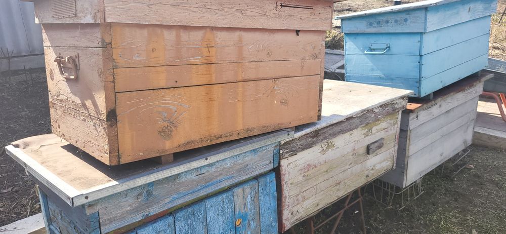 Продам вулики системи Дадан з рамками та сушшю
Продам вулики системи Д