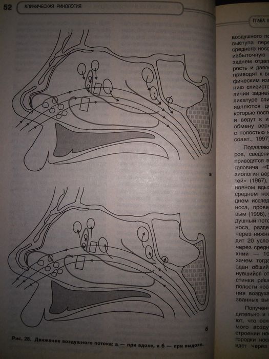 Пискунов Клиническая ринология. 2002