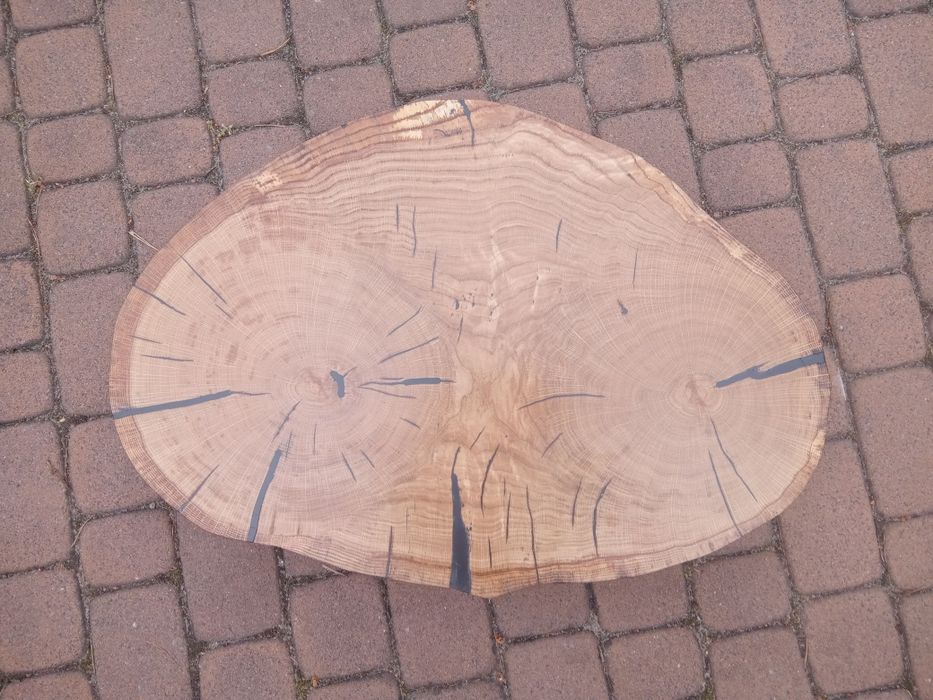 Gotowy plaster dębowy na stolik kawowy / blat