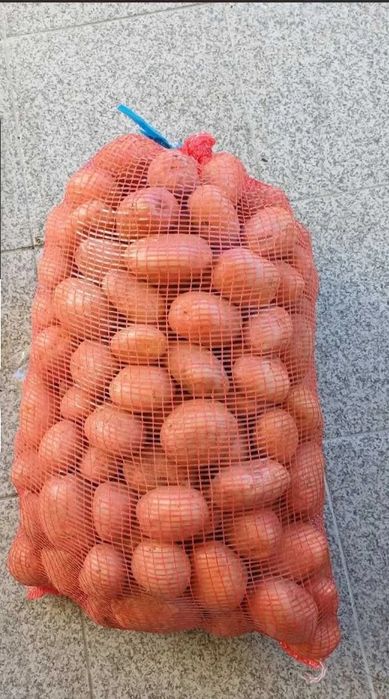 Batatas da zona da campeã