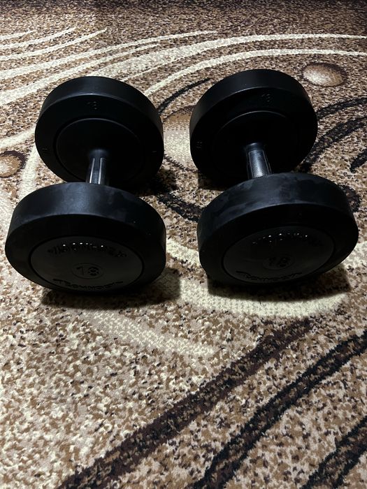 Гантелі Technogym по 18 кг