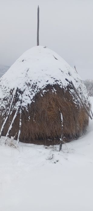 Продається сіно в копиці