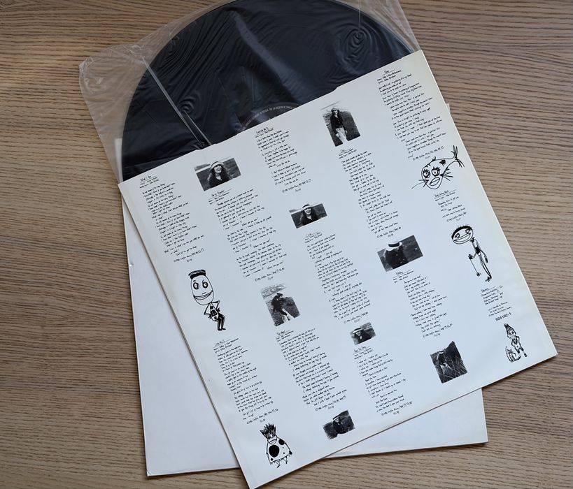Edie Brickell & New Bohemians – Shooting Rubberbands at the Stars | LP 1988 | Geffen