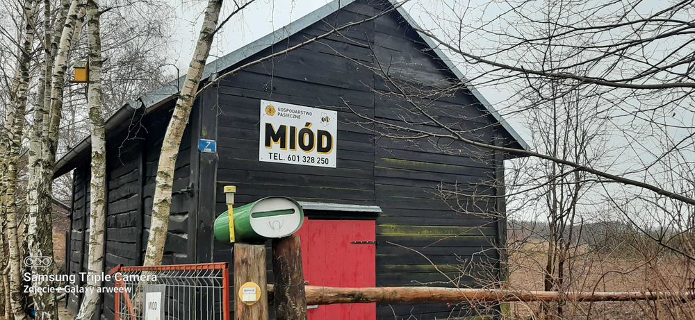 MIÓD prosto z pasieki