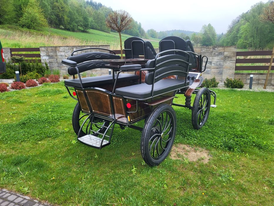 Bryczka bryczki powóz konny koń konie trasura carriage