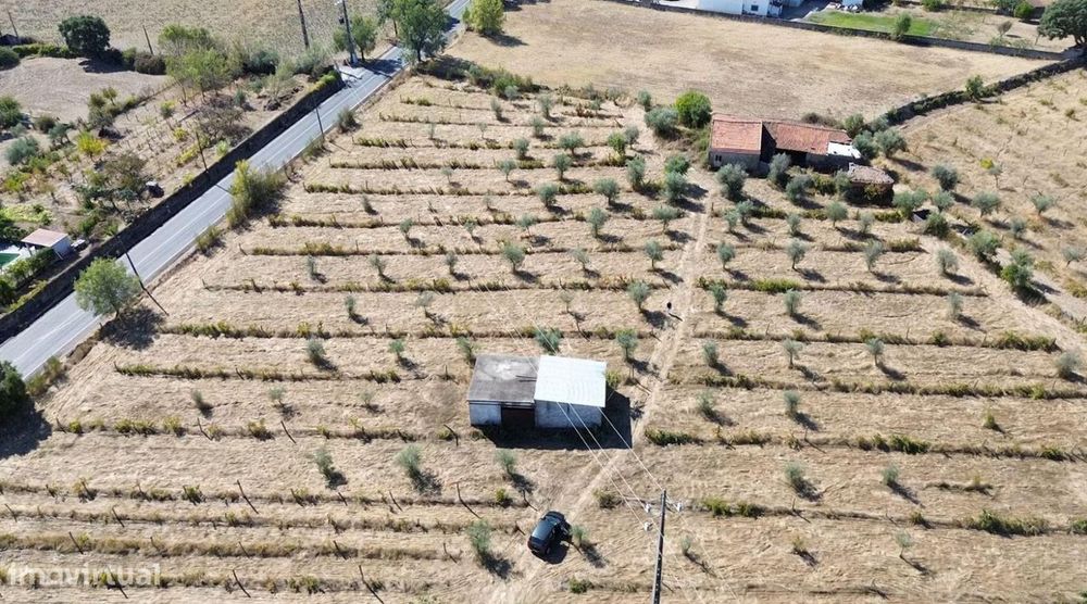 Oportunidade de negócio! Terreno rústico 2,7ha Alcains, Castelo Branco