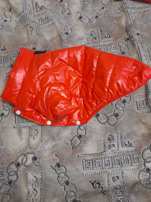 Крута куртка для цуценя