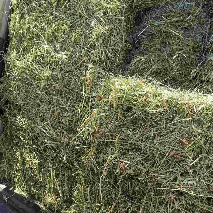 Продам сіно лугове , люцерна , хорошої якості в тюках