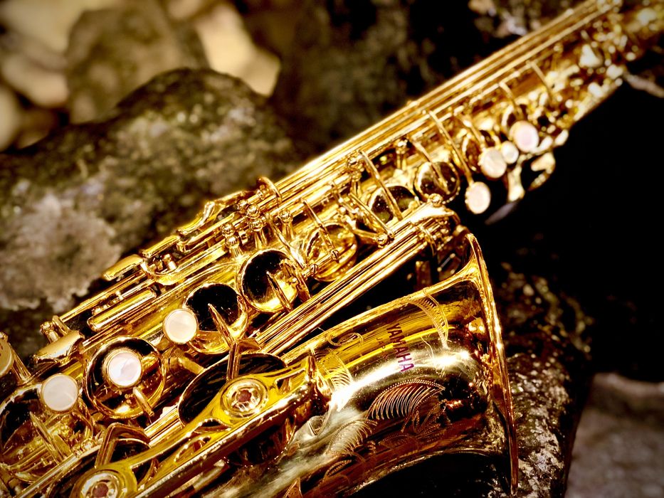 Саксофонист, фокусник, фотограф. Три в одном!)