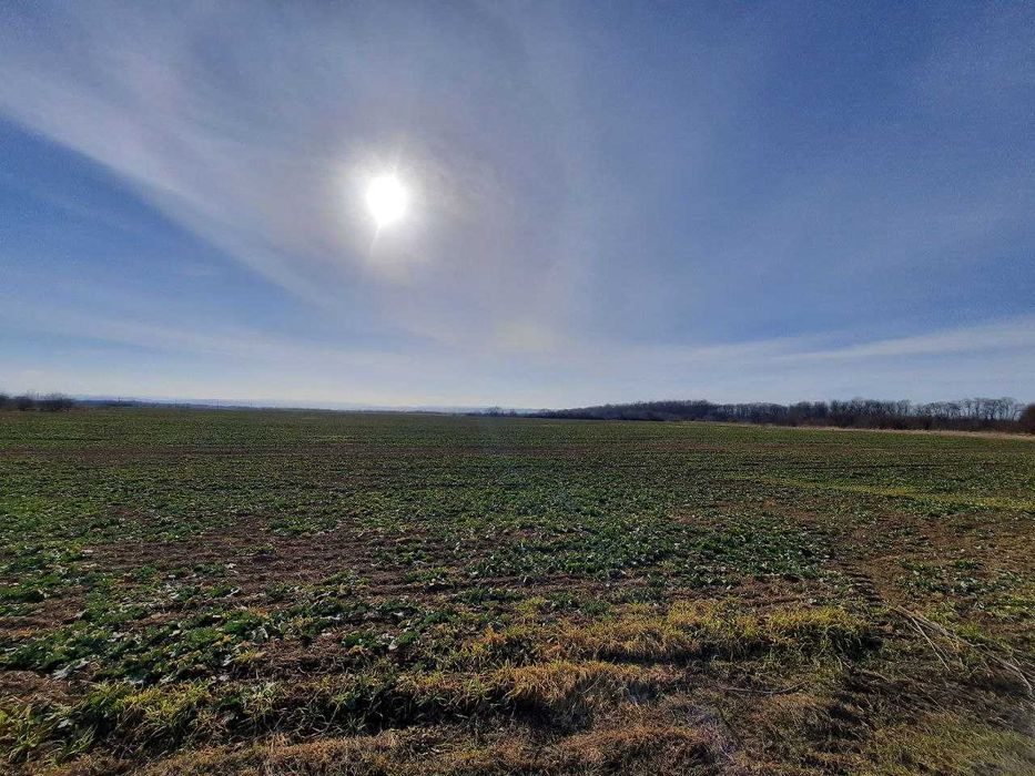 Продаж земельної ділянки село Дуліби