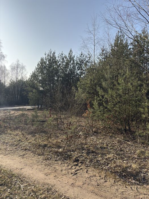 Zdjęcie 8