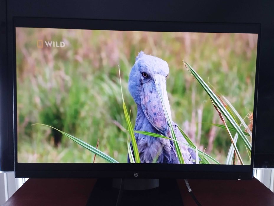 Monitor HP Z24n 1920x1200