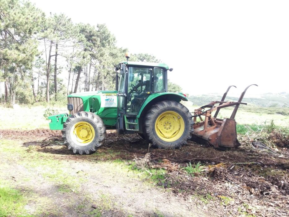 Extração de Madeira e Desmatação