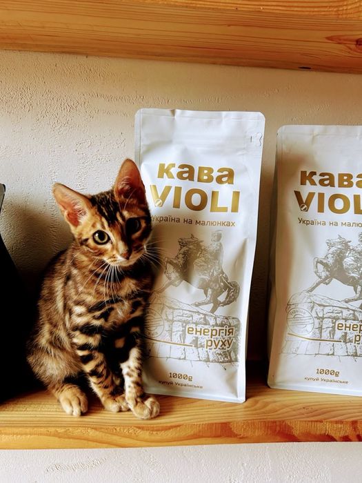 Продажа бенгальских котят