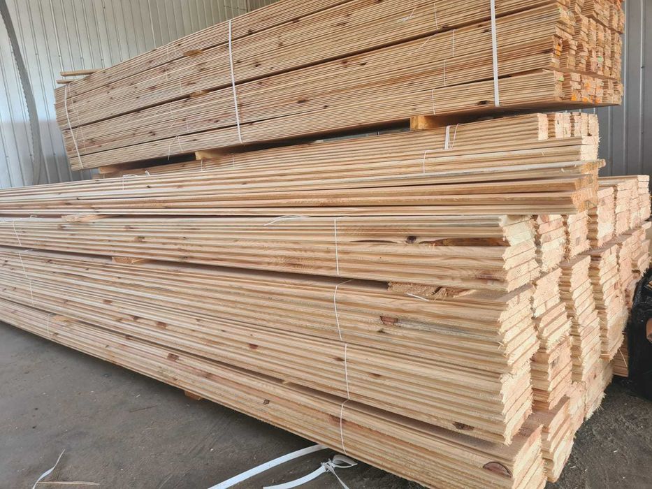 Boazeria Świerkowa różne wymiary