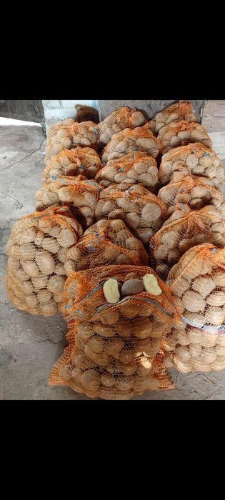 Sprzedam ziemniaki Vineta Lort Worek 15 kg 12  zł