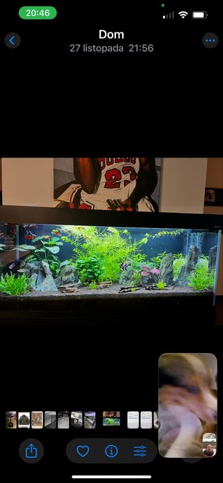 Aquael zestaw akwariowy OPTISET CZARNY 240+szafka