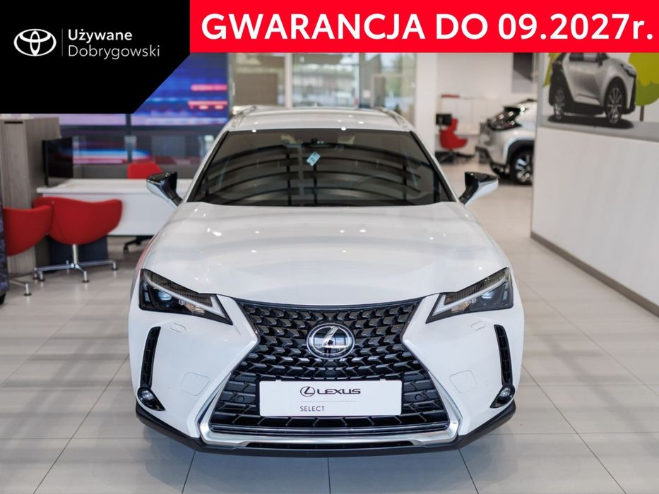 Lexus UX 300h Business