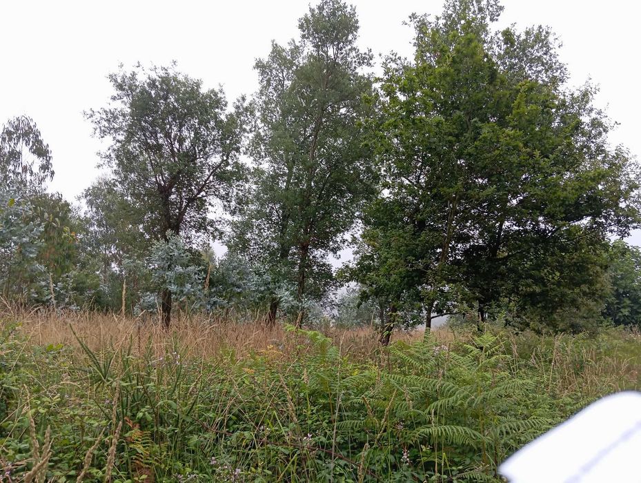 Terreno Urbano 1536M para construção