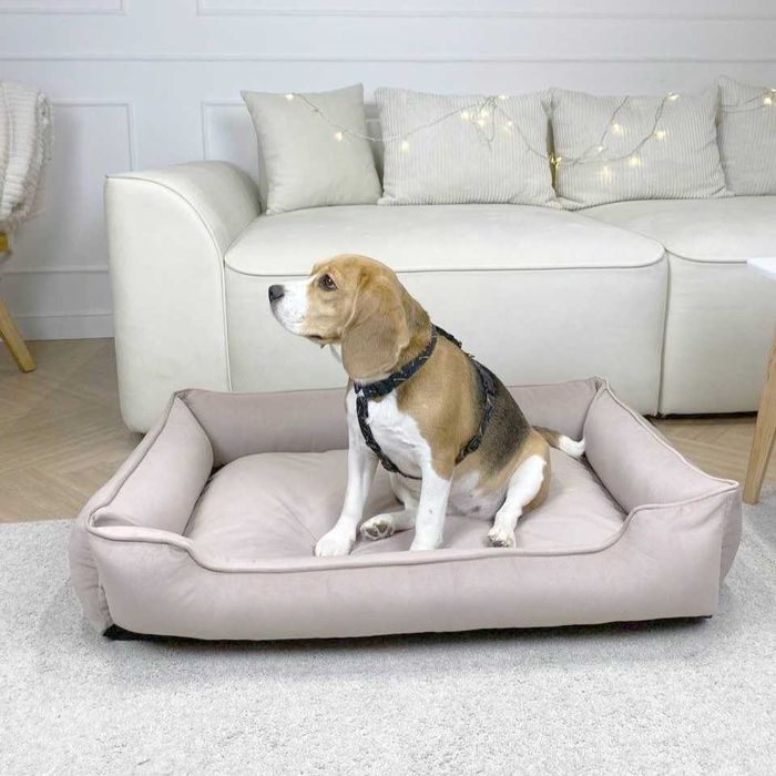 Безкоштовна доставка | Лежанка для собак, м'який лежак для собаки