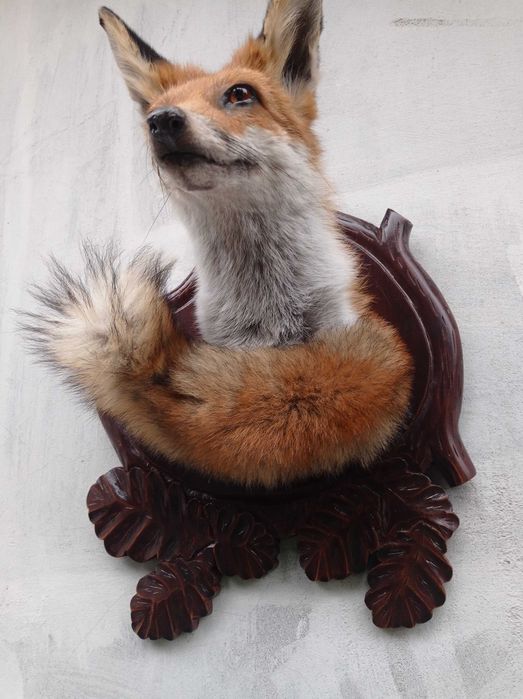 medalion lisa trofea lowiectwo myslistwo prezent