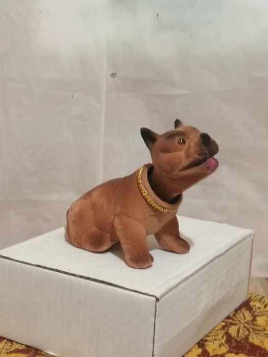 Buldog piesek z kiwającą głową