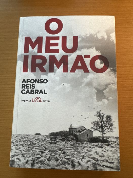 Livro “O meu irmão”