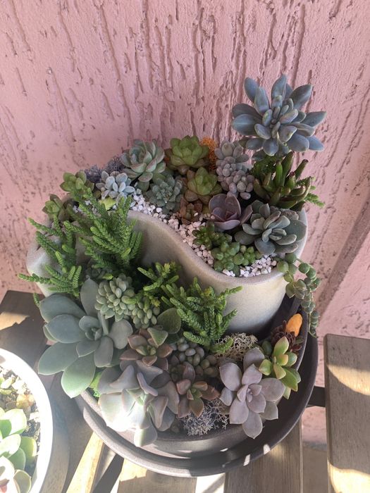 Кашпо з сукулентами . Горшок інь-янь.