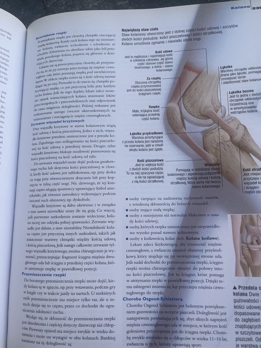 Domowa encyklopedia zdrowia