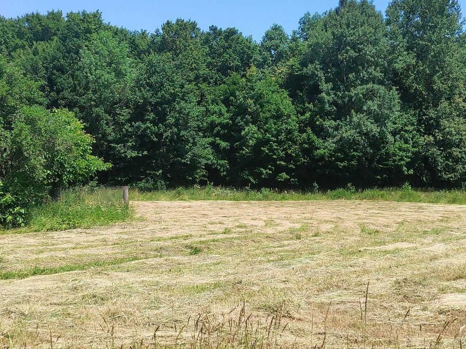 Продам Будинок село Катеринівка