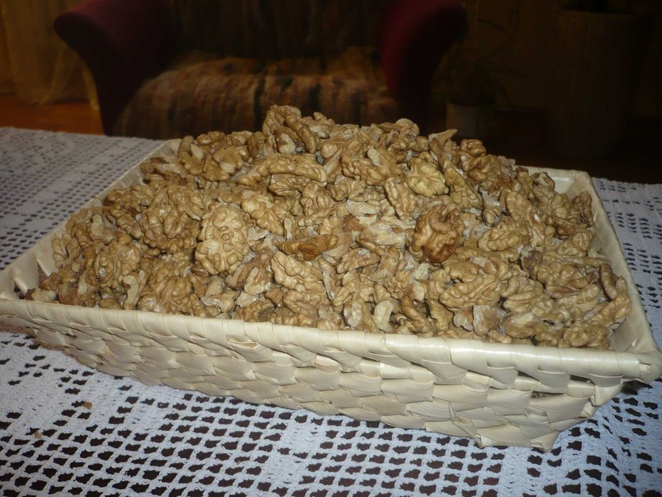Orzechy włoskie łuskane 2025r. - około 50 Kg