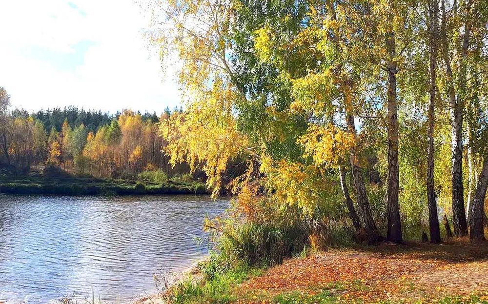 Ділянка 6сот.під будівництво в затишному місці в с.Миколаївка.Від Києва 27км.