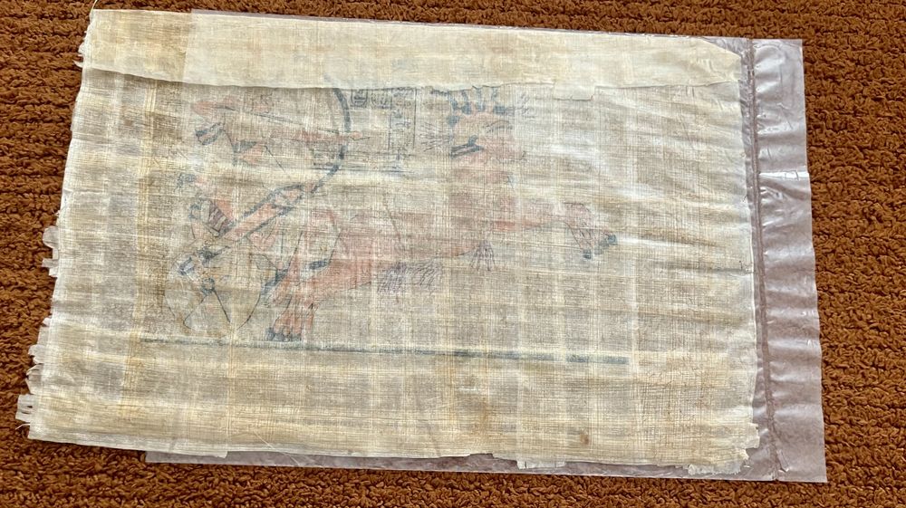 Conjunto de papiros