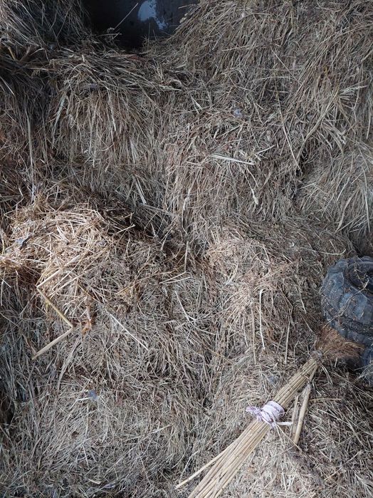 продам сіно різнотрав'я 2004 рік с. Шишківці