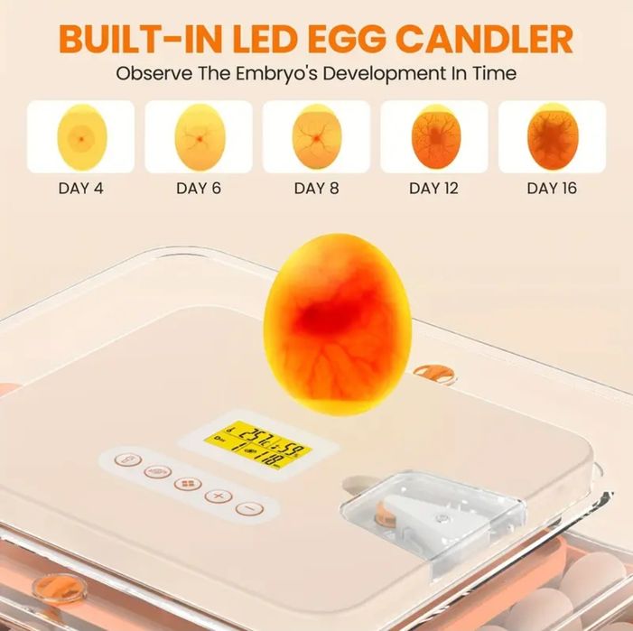 Incubadora / Chocadeira 56 Ovos - Totalmente Automática - Nova