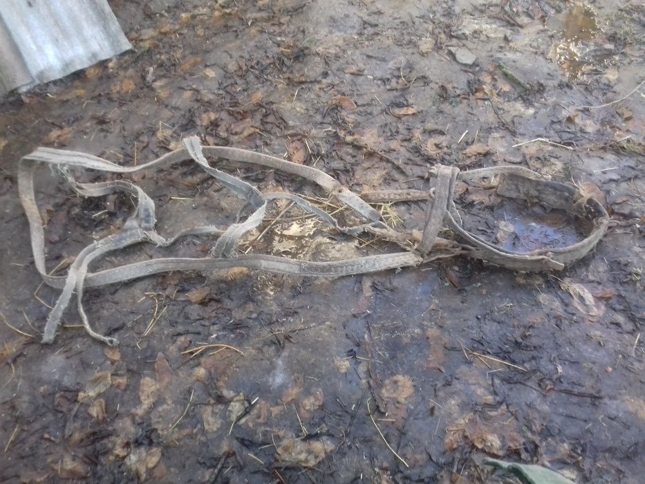 Сані дерев"яні легкі високі