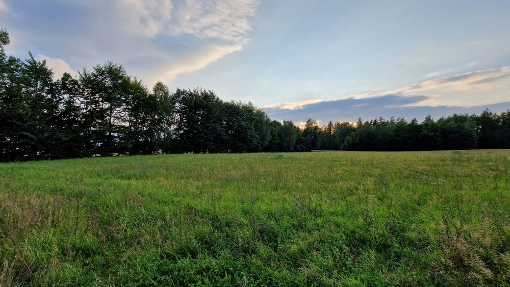 Działka w lesie - Cewice - na raty, Bezpośrednio od właściciela