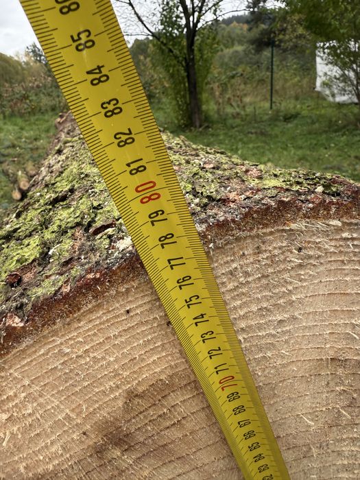 Świerk kłoda tartaczna na deski