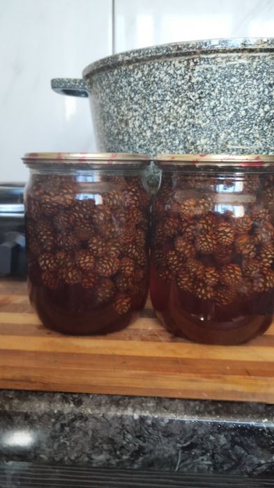Варення з молодих соснових шишок.продам варенье из шишек