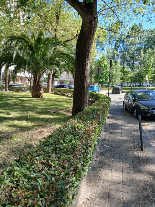 T1 de 80m2 com um arrumo, Porto