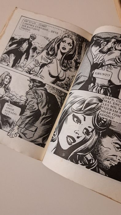 Livro aos quadradinhos,