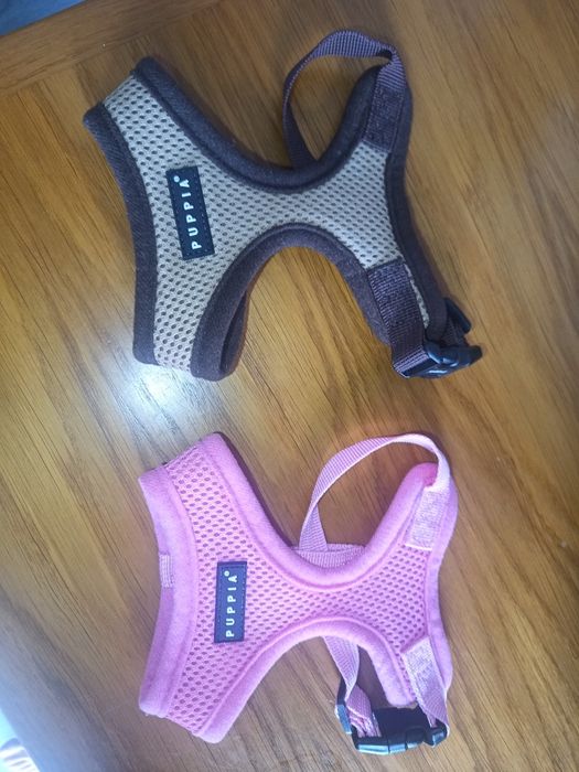 Dois arnês da marca Puppia XS, para cachorros muito pequenos.
