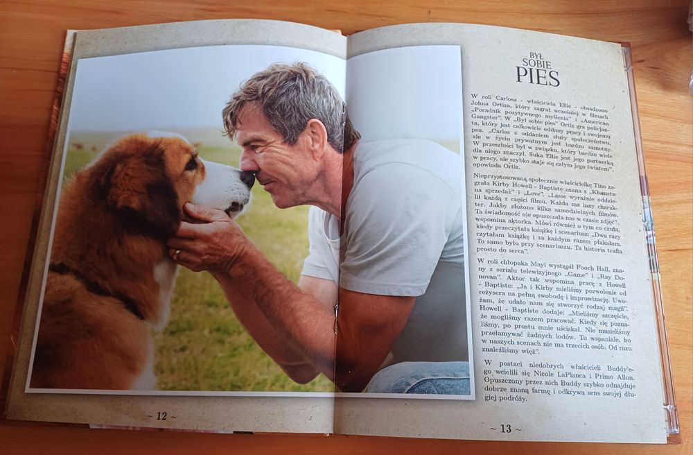Był sobie pies - DVD